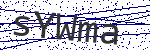 Code verification